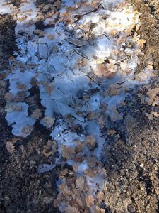 Ice on the ground