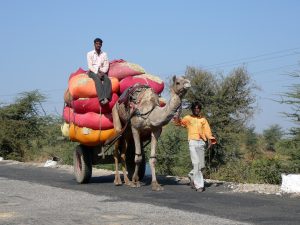 Overloaded camel
