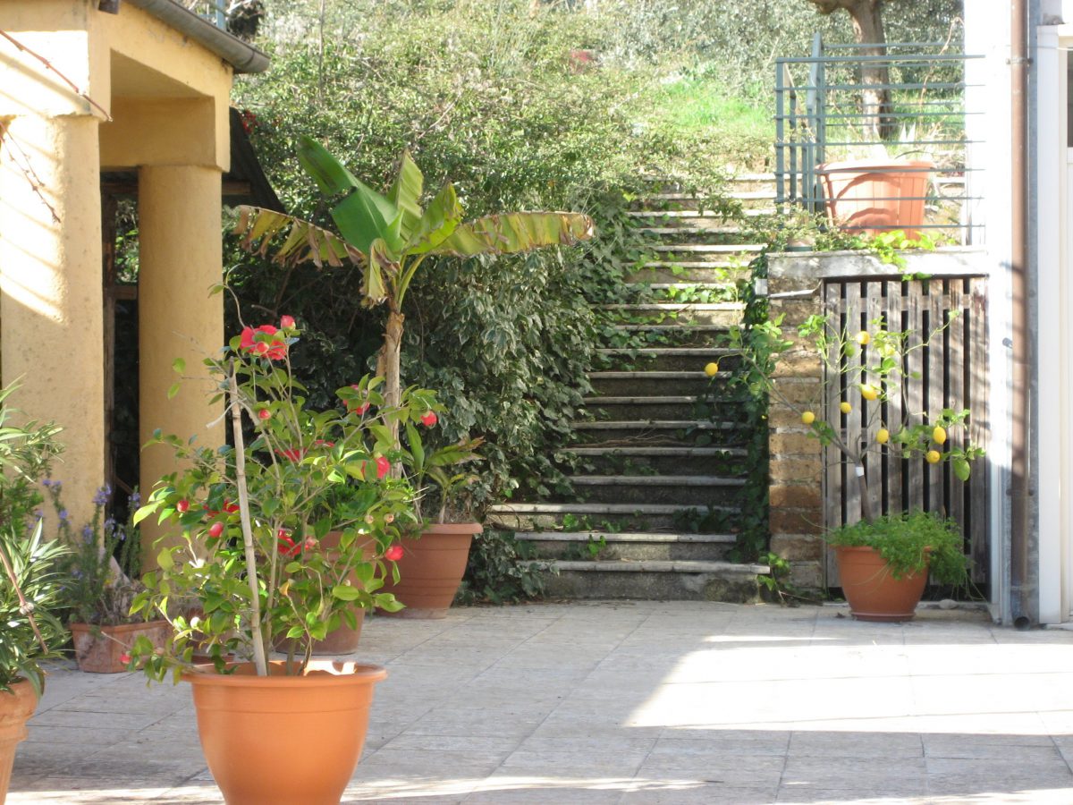 courtyard with flower pots and stairs into green