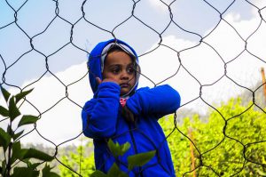 child looking through a fence